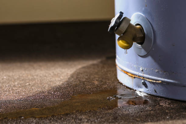Best Fire Damage Restoration  in Bonner Springs, KS