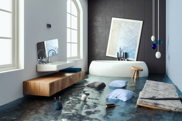 Best Water damage restoration near me  in Bonner Springs, KS