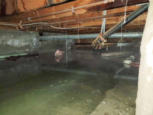 , KS Water damage restoration Company