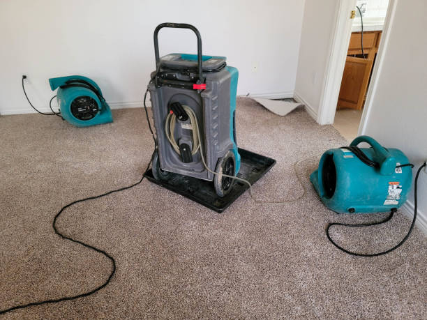 Best Sewage cleanup and water damage restoration  in Bonner Springs, KS