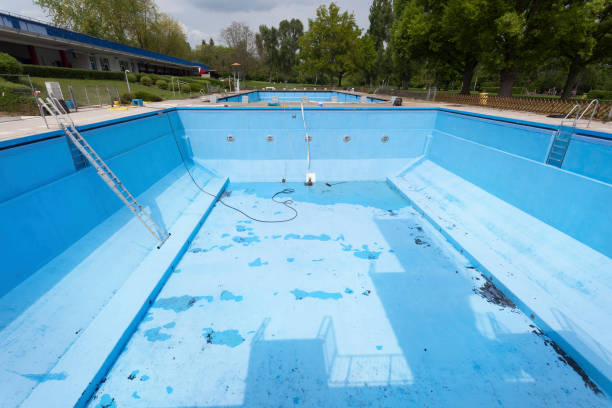 Best Flood restoration services  in Bonner Springs, KS