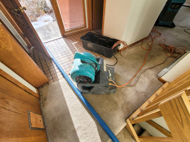 Best Water damage restoration experts  in Bonner Springs, KS
