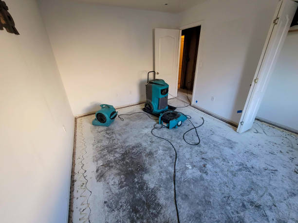 Best Water damage restoration company  in Bonner Springs, KS