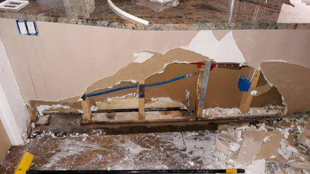 Best Water damage cleanup near me  in Bonner Springs, KS
