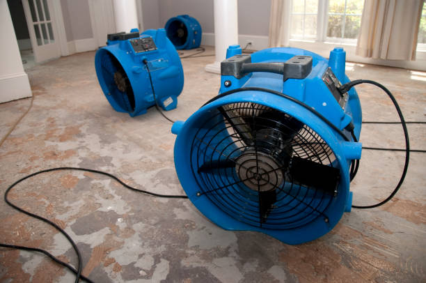 Best Commercial water damage restoration  in Bonner Springs, KS