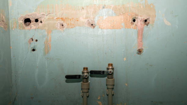 Best Ceiling water damage repair  in Bonner Springs, KS