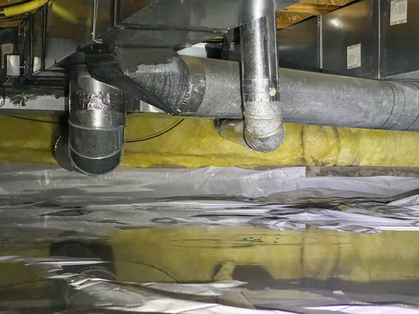 Best Basement water damage restoration  in Bonner Springs, KS