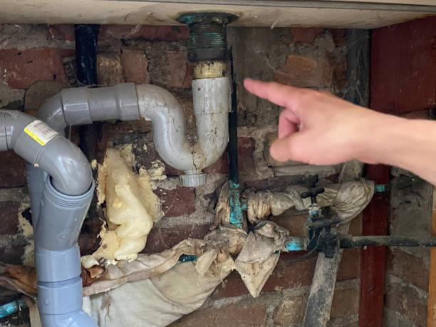 Best Water damage restoration specialists  in Bonner Springs, KS