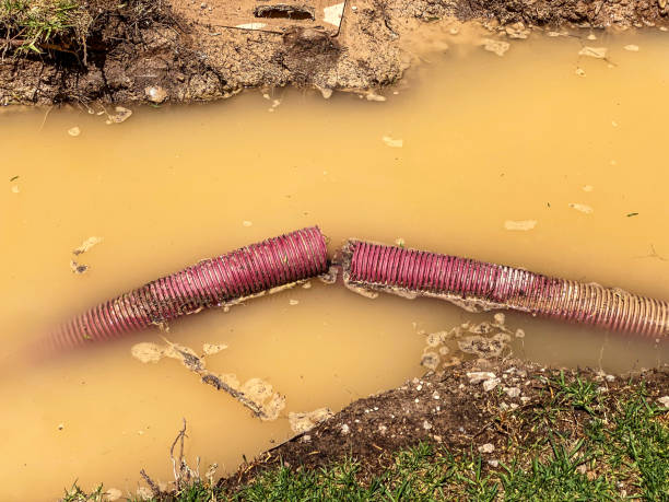 Best Flood damage cleanup  in Bonner Springs, KS
